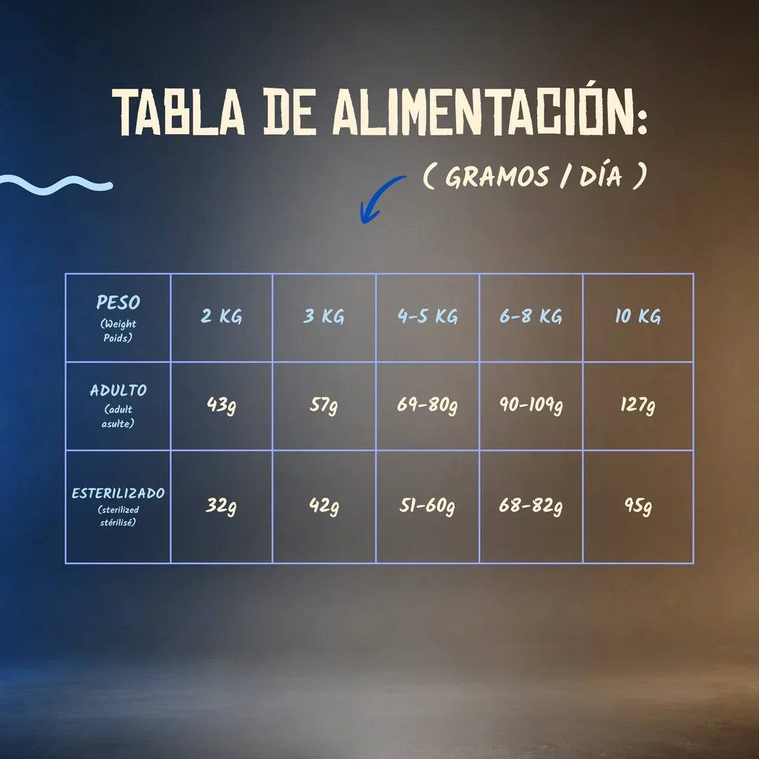 Lenda Grain Free Gato Delicate - Pescado Blanco