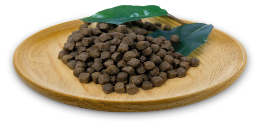 Natural Greatness – Started Puppy