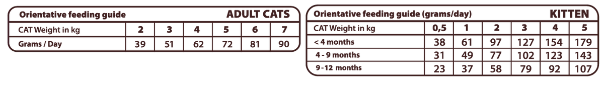 Natural Greatness - Wild Instinct Gatos y Gatitos Top Mountain