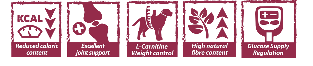 Natural Greatness – Vet Diets Obesidad y Diabetes para Perros