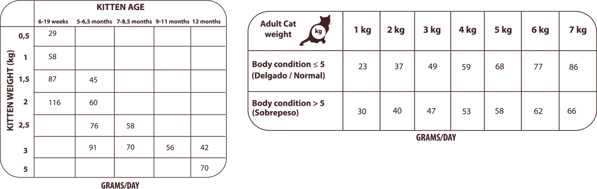 Natural Greatness - Wild Instinct Gatos y Gatitos