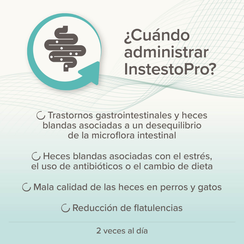 Intestopro Regulador Intestinal Perro (40 ml)