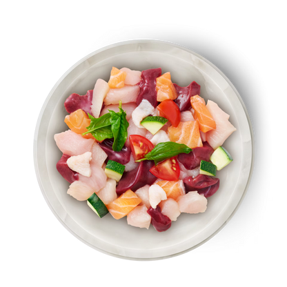 Terra Felis Famousse Salmón & Pollo 12 x 80 g