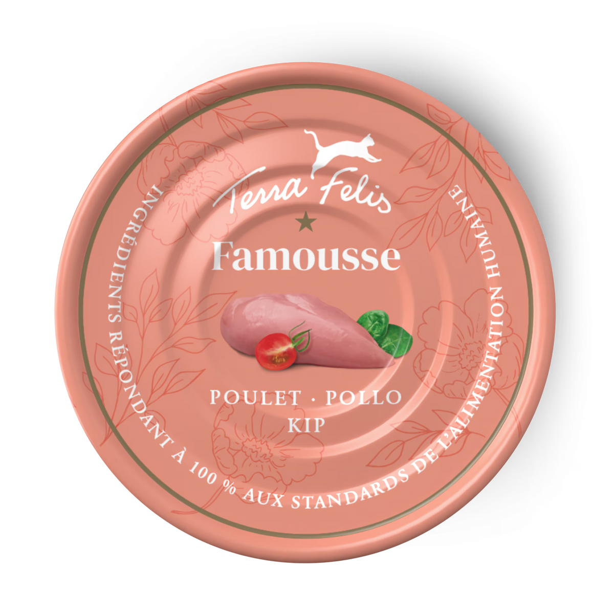 Terra Felis Famousse Pollo 12 x 80 g