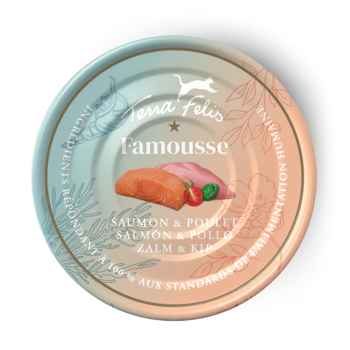 Terra Felis Famousse Salmón & Pollo 12 x 80 g