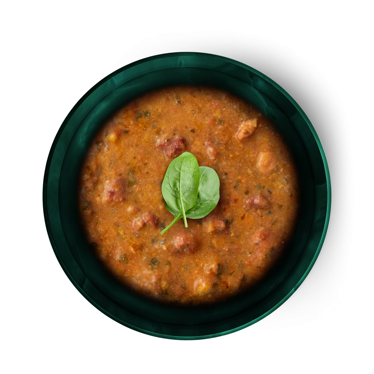 Terra Felis souprème cordero