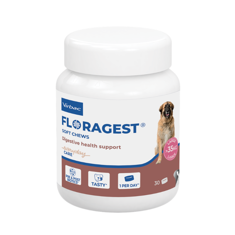 Floragest Perro L (30 comp.)