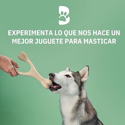 BetterBone Soft sabor Ternera en dureza Medium y disponible en tallas Mini, Medium y Large.