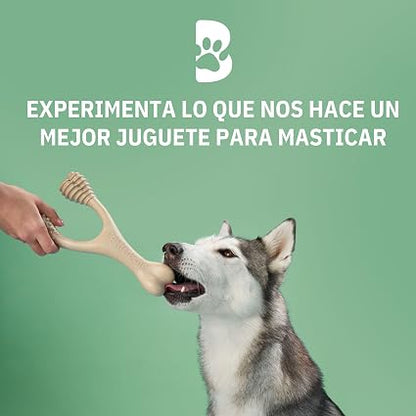 BetterBone Soft sabor Ternera en dureza Medium y disponible en tallas Mini, Medium y Large.