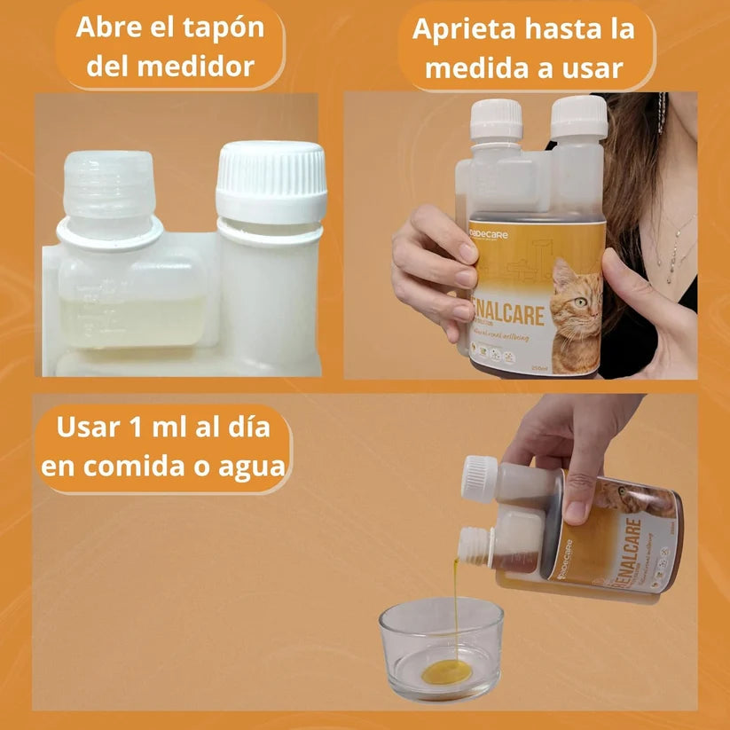 RenalCare Líquido 250ml Gatos (Sabor Bacon) | Salud Renal y Apetito — DadeCare