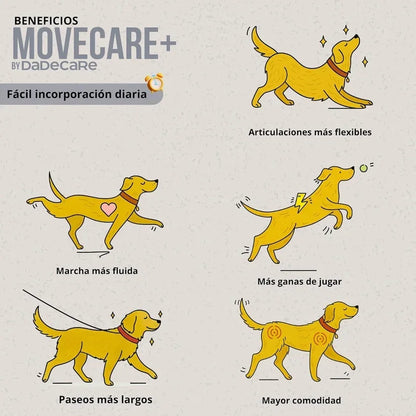 Movecare + Condroprotector Perros 300g