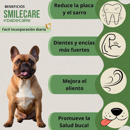 Smilecare Higiene Bucodental Polvo | Limpiador Sarro y Aliento — DadeCare
