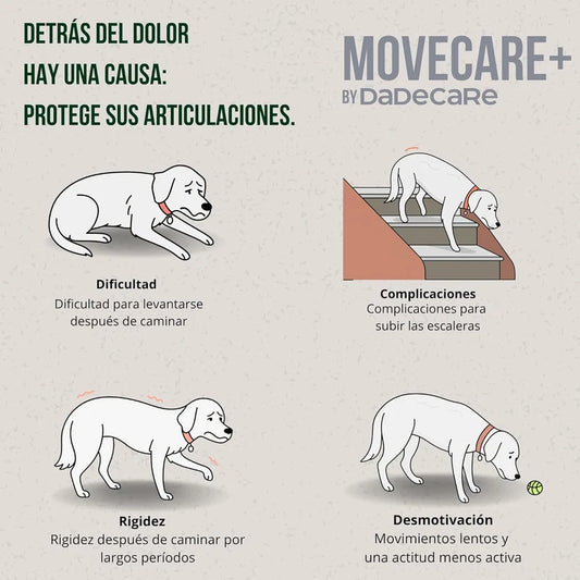 Movecare + Condroprotector Perros 300g