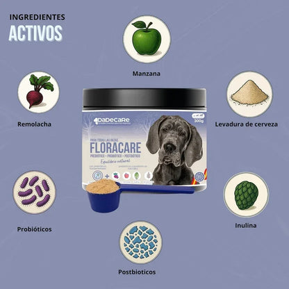 Floracare - Probioticos Perros en Polvo 300g