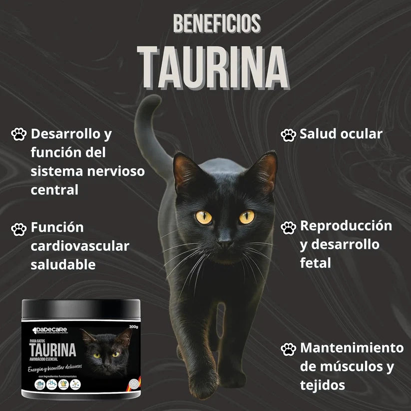 Taurina 300g para Gatos (Sabor Pescado) | Corazón, Visión e Inmunidad — DadeCare