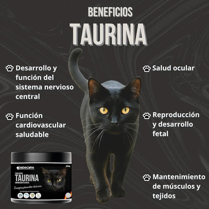 Taurina 300g para Gatos (Sabor Pescado) | Corazón, Visión e Inmunidad — DadeCare