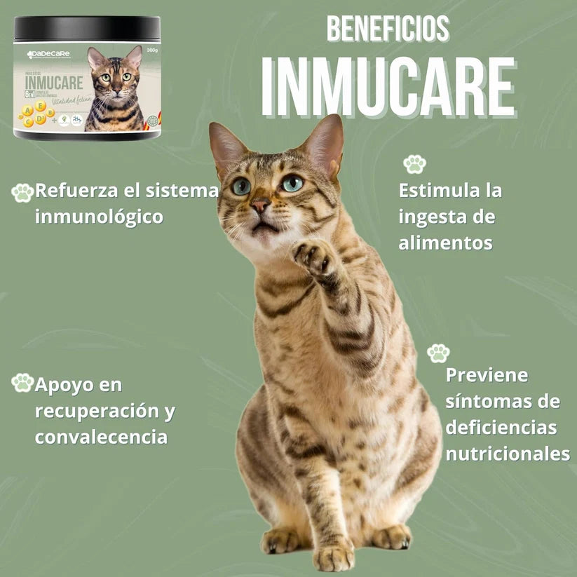 Inmucare Vitamínico Gatos 300g | Estimula Apetito y Recuperación — DadeCare