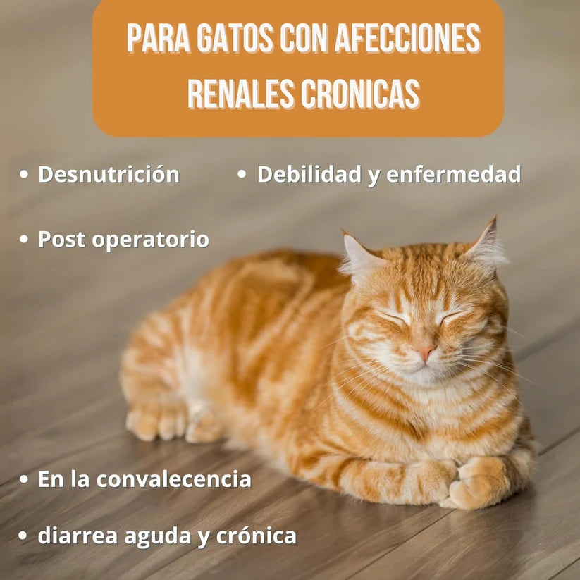 RenalCare Líquido 250ml Gatos (Sabor Bacon) | Salud Renal y Apetito — DadeCare