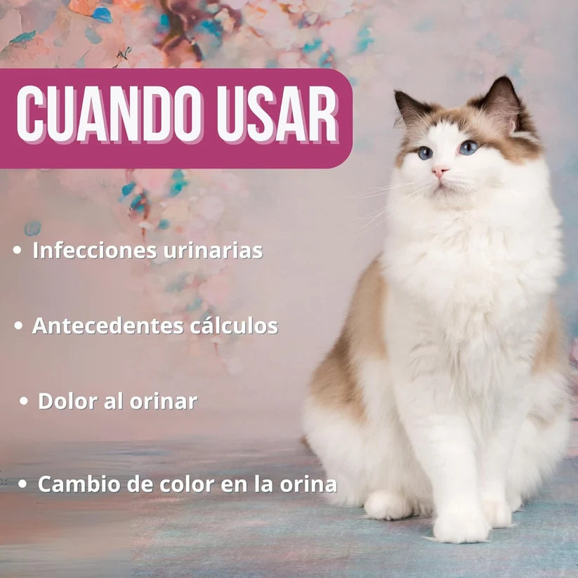 Urocare 220g Suplemento Urinario Gatos | Arándanos y Glucosamina — DadeCare