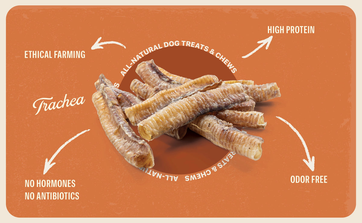 Tráqueas de Cordero para Perros Tamariki | Snack Natural y Deshidratado