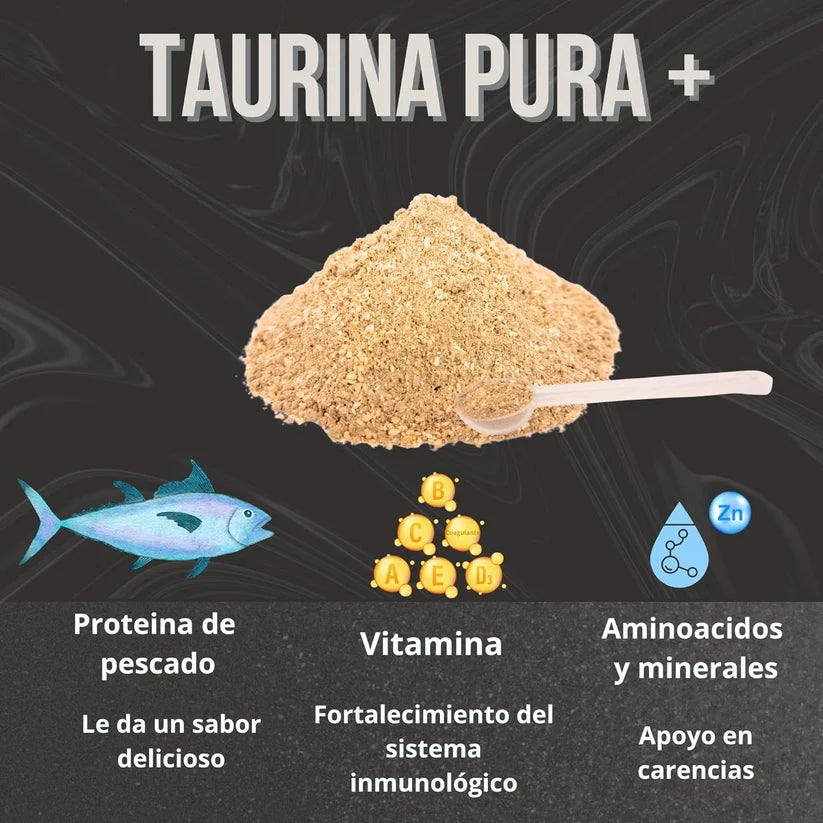 Taurina 300g para Gatos (Sabor Pescado) | Corazón, Visión e Inmunidad — DadeCare