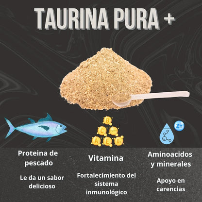Taurina 300g para Gatos (Sabor Pescado) | Corazón, Visión e Inmunidad — DadeCare
