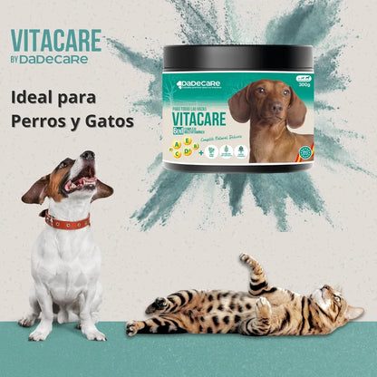 Vitacare 300g Multivitamínico 6en1 | Salud, Pelo e Inmunidad — DadeCare
