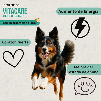 Vitacare 300g Multivitamínico 6en1 | Salud, Pelo e Inmunidad — DadeCare