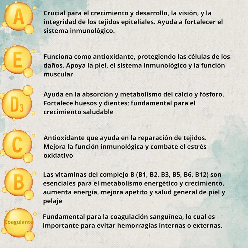 Vitacare 300g Multivitamínico 6en1 | Salud, Pelo e Inmunidad — DadeCare