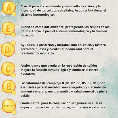 Vitacare 300g Multivitamínico 6en1 | Salud, Pelo e Inmunidad — DadeCare