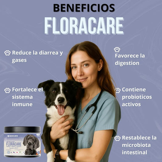 Floracare - Probioticos Perros en Polvo 300g