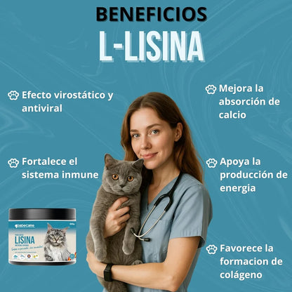 L-Lisina 300g para Gatos (Sabor Pescado) | Inmunidad y Herpesvirus Felino — DadeCare