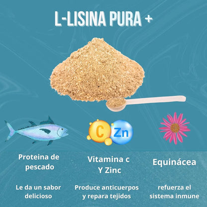 L-Lisina 300g para Gatos (Sabor Pescado) | Inmunidad y Herpesvirus Felino — DadeCare