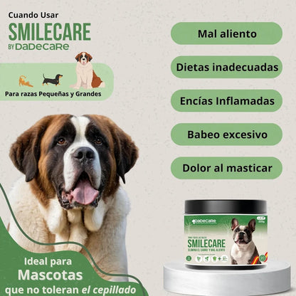 Smilecare Higiene Bucodental Polvo | Limpiador Sarro y Aliento — DadeCare