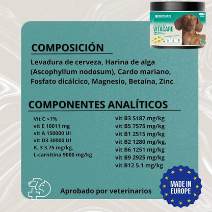 Vitacare 300g Multivitamínico 6en1 | Salud, Pelo e Inmunidad — DadeCare