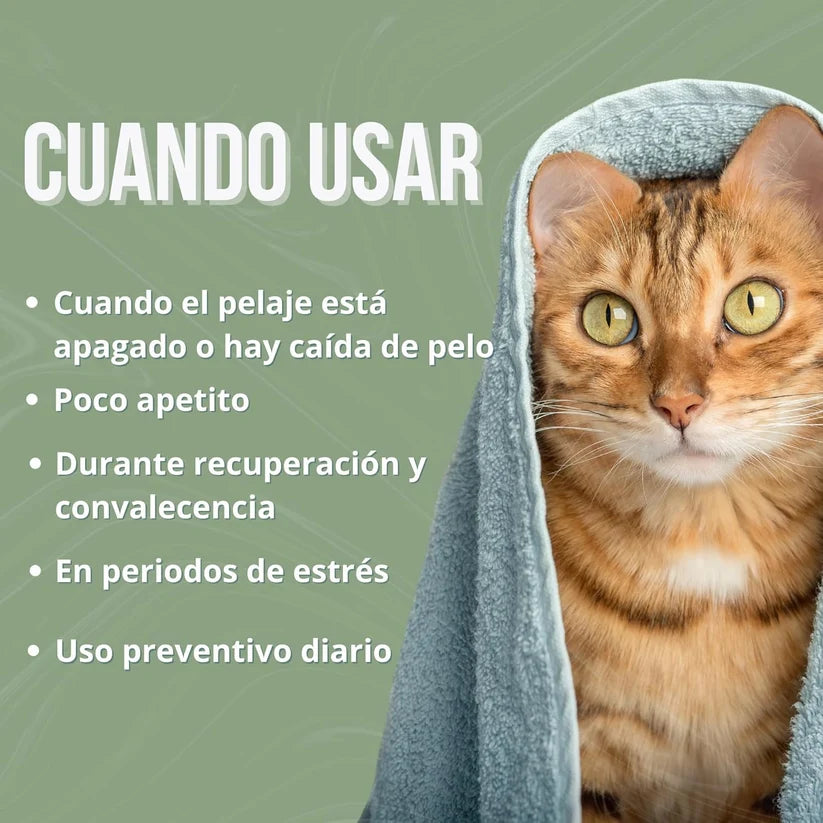 Inmucare Vitamínico Gatos 300g | Estimula Apetito y Recuperación — DadeCare