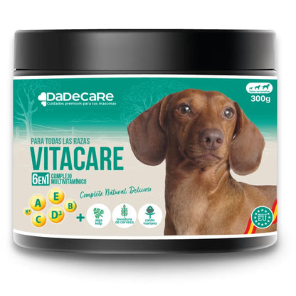 Vitacare 300g Multivitamínico 6en1 | Salud, Pelo e Inmunidad — DadeCare