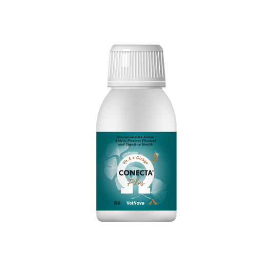 Conecta Plus (90 ml)