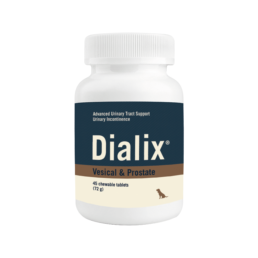 Dialix Vesical & Prostate (45 comp.)