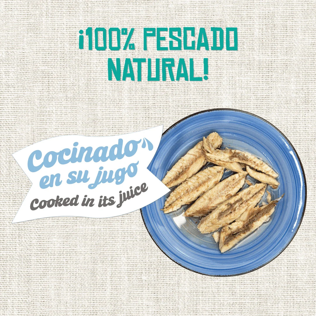 Lenda Foodie Cat Caballa en Trozos | Comida Húmeda Gatos
