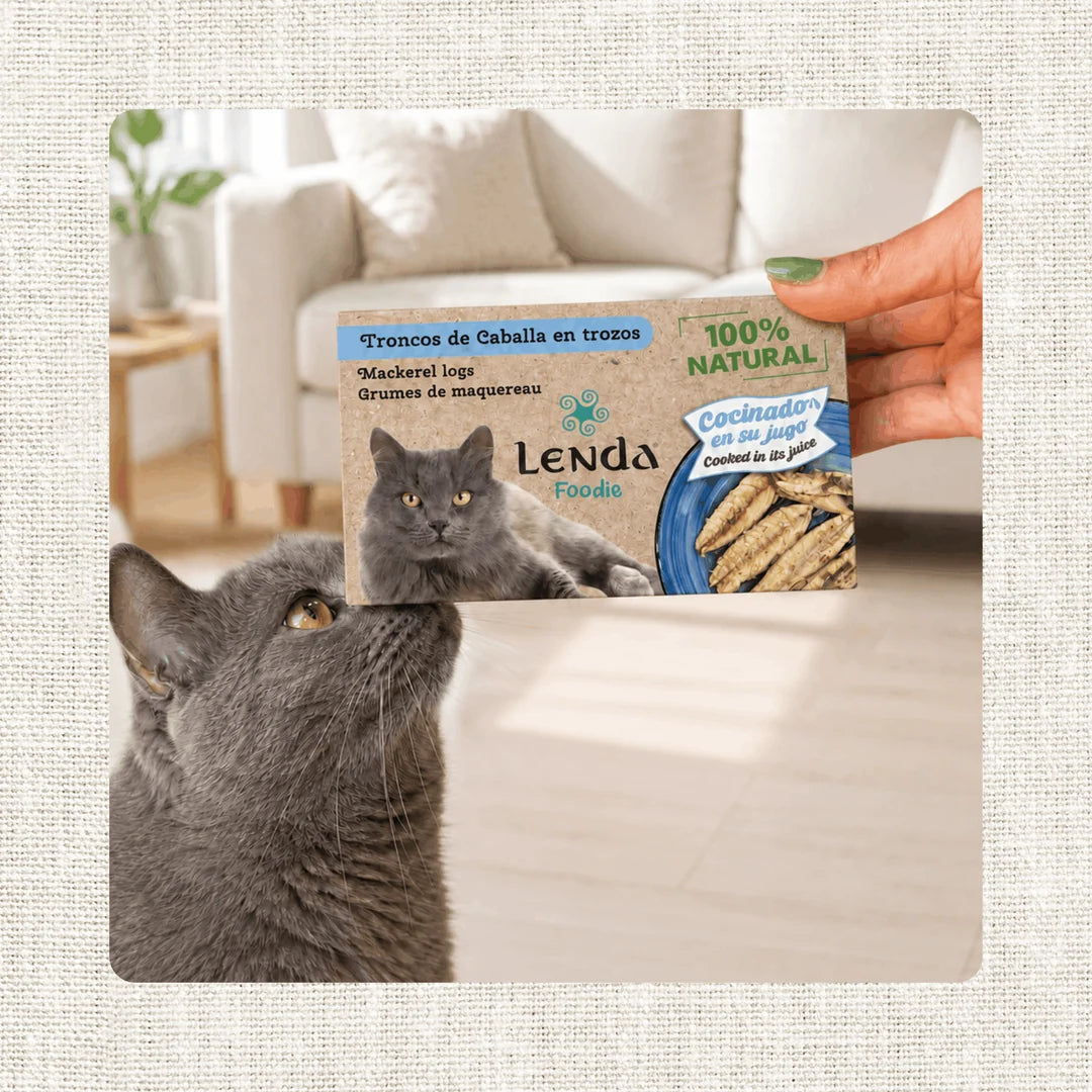 Lenda Foodie Cat Caballa en Trozos | Comida Húmeda Gatos