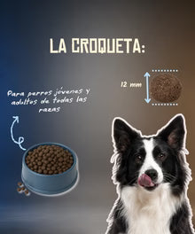 Lenda Grain Free - Pescado y Krill