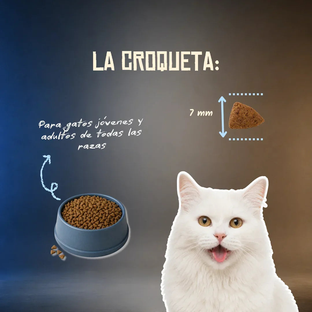 Lenda Grain Free Gato Delicate - Pescado Blanco