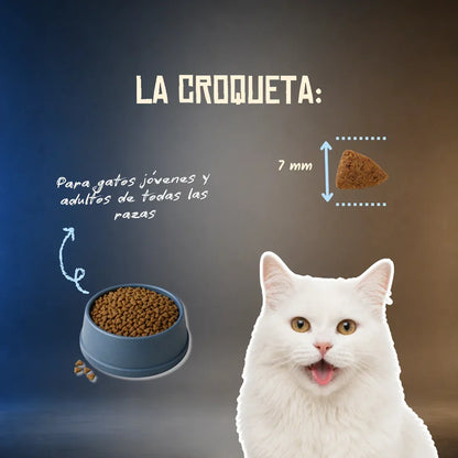 Lenda Grain Free Gato Delicate - Pescado Blanco