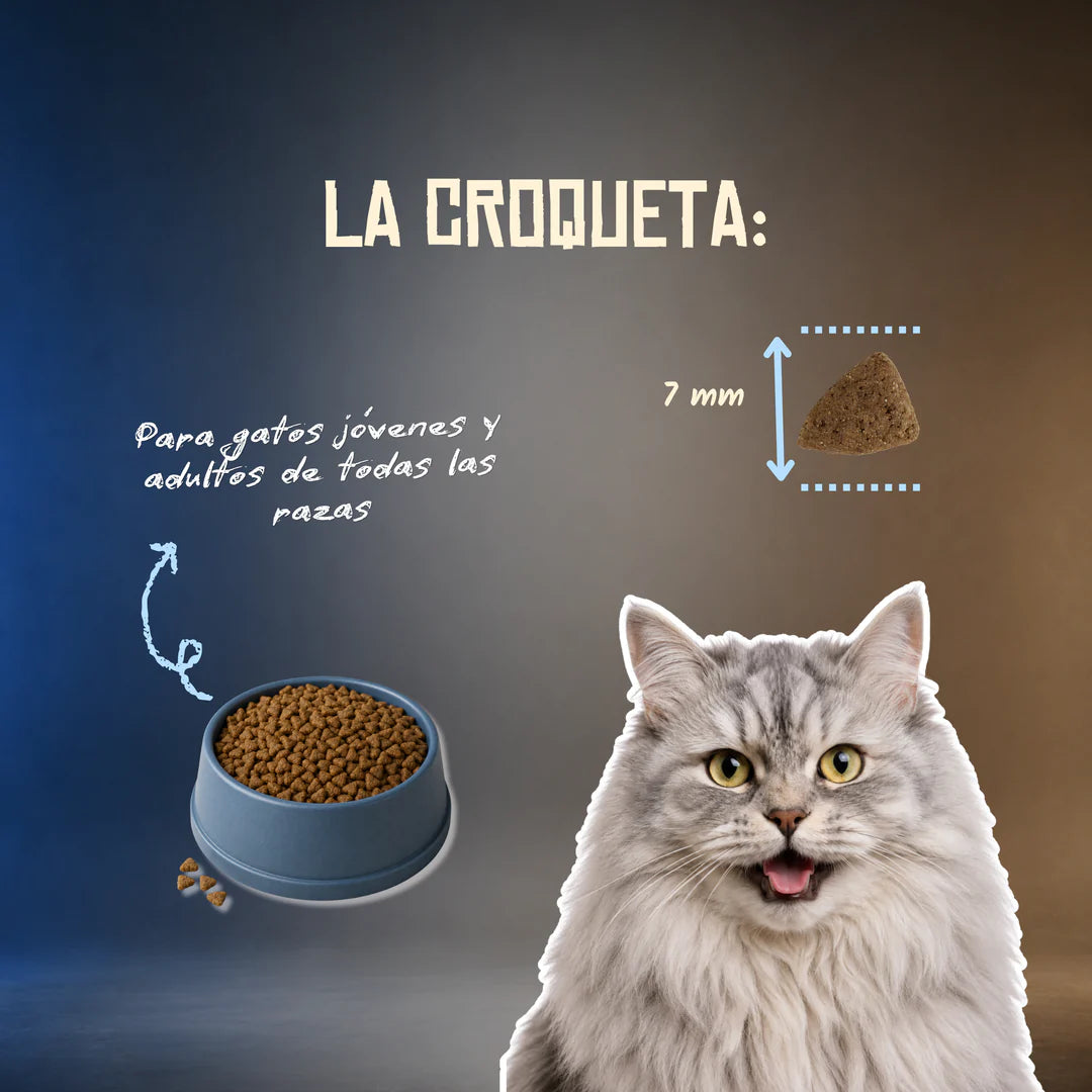 Lenda Grain Free Gato Esterilizado - Cerdo, Salmón y Krill