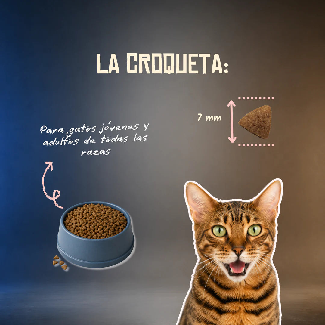 Lenda Grain Free Gato Light Low Fat - Cerdo y Conejo