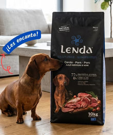 Lenda Grain Free Monoproteico - Cerdo