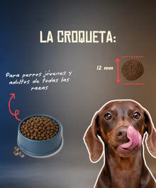 Lenda Grain Free Monoproteico - Cerdo