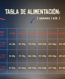 Lenda Grain Free Monoproteico - Cerdo