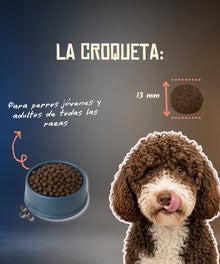 Lenda Grain Free Monoproteico - Salmón